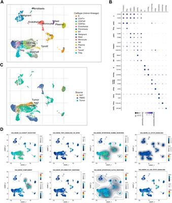 Reclassifying TNM stage I/II colorectal cancer into two subgroups with different overall survival, tumor microenvironment, and response to immune checkpoint blockade treatment